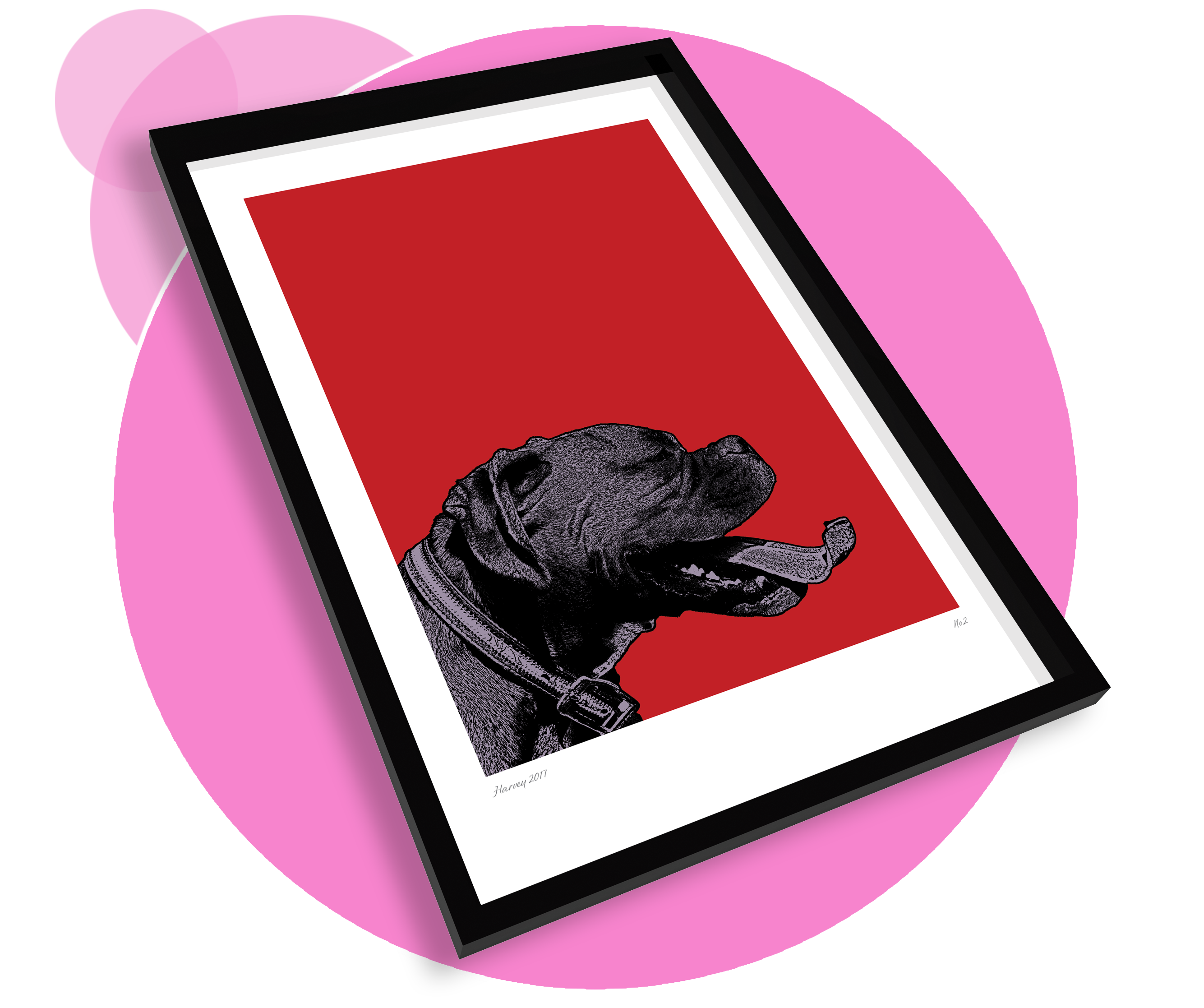 image of framed poster product