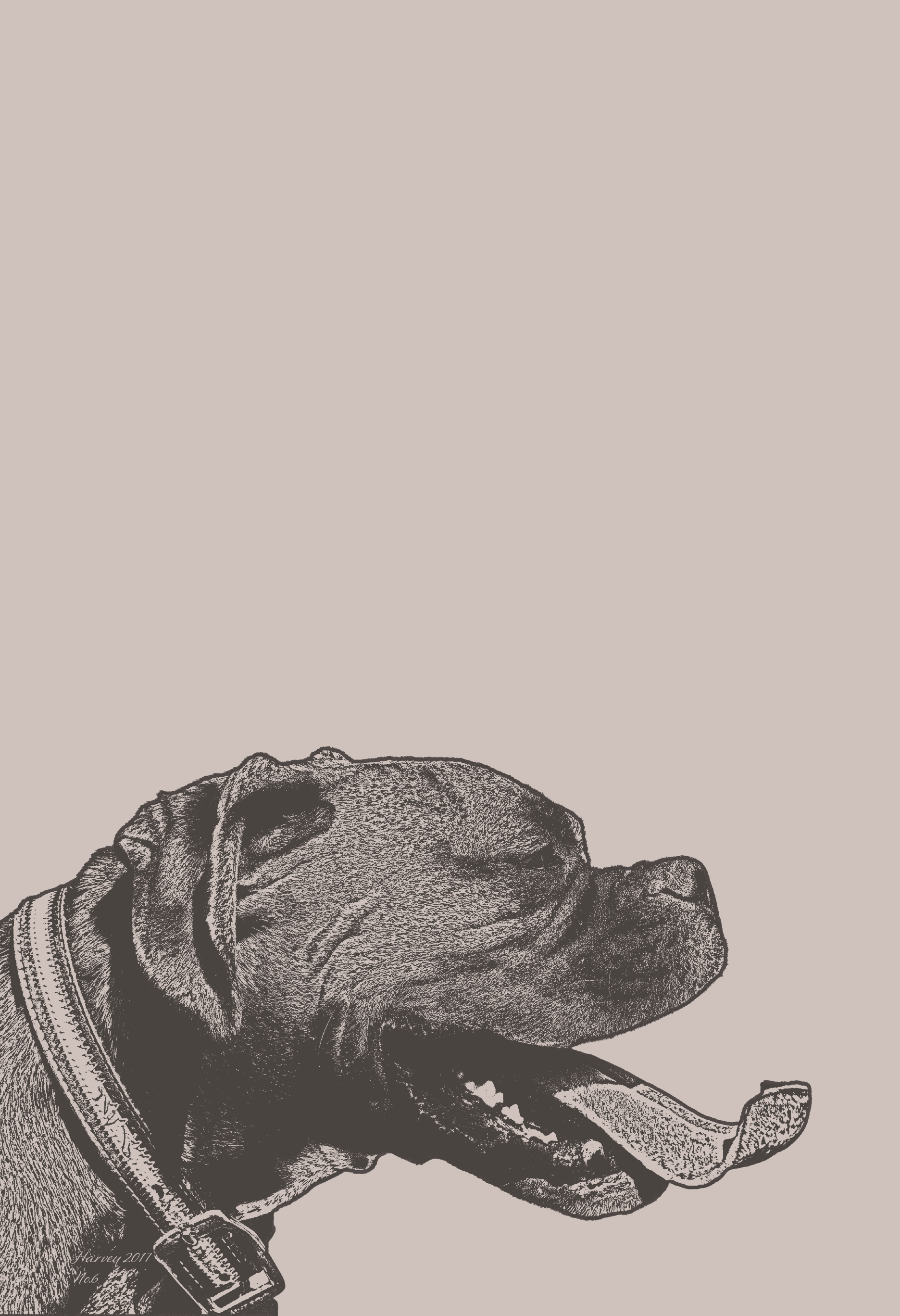 image of Harvey's poster #6